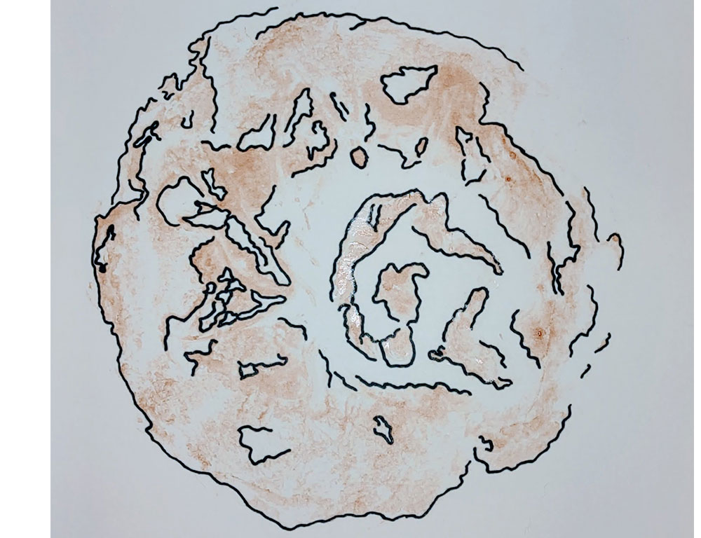 11a.jpg
